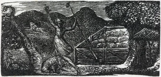 Der gute Hirte vertreibt den Wolf, Illustration aus Dr. Thorntons 